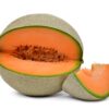 Semence de Melon Cantaloup